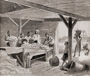 Rabszolgák, akik 19. századi pamutginnel dolgoznak egy ültetvényen az Amerikai Egyesült Államok déli államában, az 1905-ben megjelent „Hazánk története” című könyvből (litho)