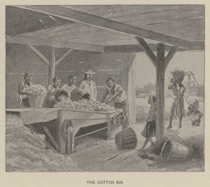 A pamut gin (litho)