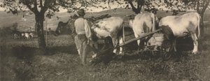 Kameramunka: Szántócsapat alkotó: J. Craig Annan