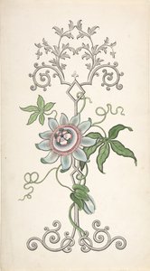 Paneldekoráció tervezése golgotavirággal, 1828-40. alkotó: J Hulme