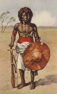Fuzzy Wuzzy (színes litó)