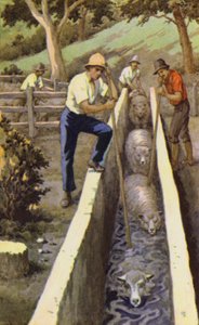 Birka mártogatós (színes litho)