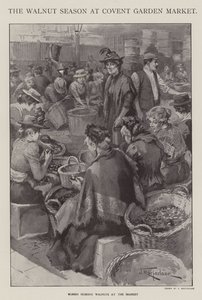 Diószezon a londoni Covent Garden Marketen (litho)