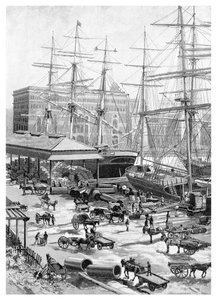 Szállítás, Circular Quay, Sydney, Új-Dél-Wales, Ausztrália, 1886.