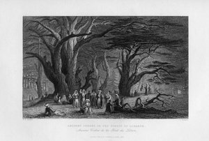 Ősi cédrusok a libanoni erdőben, 1841