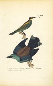  alkotó: J. W. Tenhaeff