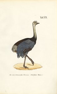  alkotó: J. W. Tenhaeff