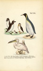  alkotó: J. W. Tenhaeff