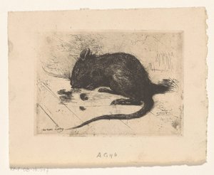 Egér