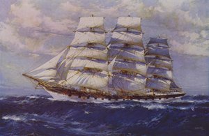 Taranaki vitorlás (színes litó)