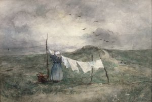 Mosónap (wc papíron)