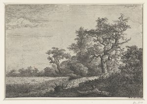 A kukoricatábla alkotó: Jacob van Ruisdael