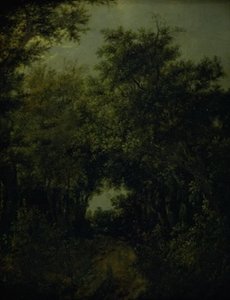 Út egy tölgyerdőben alkotó: Jacob van Ruisdael