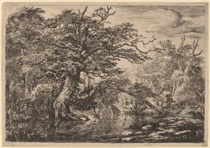 Erdei mocsár utazókkal a parton (The Travellers) alkotó: Jacob van Ruisdael