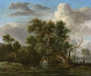 Egy erdei medence alkotó: Jacob van Ruisdael