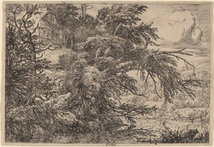 Víkendház egy dombon alkotó: Jacob van Ruisdael