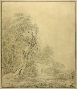Holt fa a vízparton, alak közeledik a rúddal alkotó: Jacob van Ruisdael