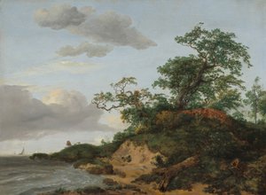 Dűnék a tenger mellett alkotó: Jacob van Ruisdael