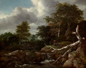 Erdei jelenet alkotó: Jacob van Ruisdael