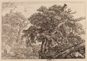  alkotó: Jacob van Ruisdael
