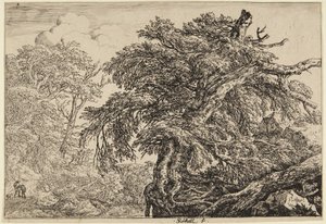  alkotó: Jacob van Ruisdael