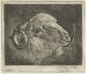 Visszafordított szarvú kos feje alkotó: Jacobus Cornelis Gaal (signed by artist)