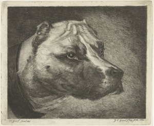 Kutyafej nyakörvvel alkotó: Jacobus Cornelis Gaal