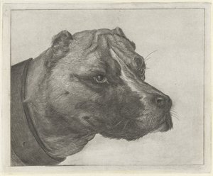 Kutyafej nyakörvvel alkotó: Jacobus Cornelis Gaal