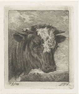 Fehér galléros tehén feje alkotó: Jacobus Cornelis Gaal