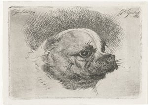 Egy mopsz feje alkotó: Jacobus Cornelis Gaal