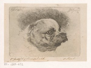 Egy mopsz feje alkotó: Jacobus Cornelis Gaal