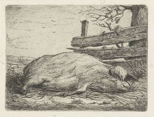 Fekvő vaddisznó alkotó: Jacobus Cornelis Gaal