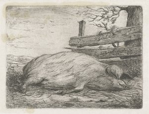 Fekvő vaddisznó alkotó: Jacobus Cornelis Gaal