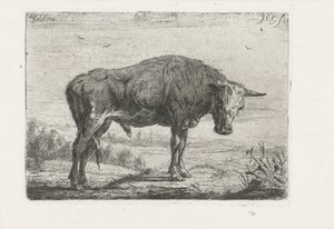 álló bika alkotó: Jacobus Cornelis Gaal