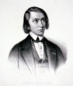 Josephus Hermanus Verhulst (1816-91) portréja (metszet) alkotó: Jacobus Everardus Josephus van den (after) Berg