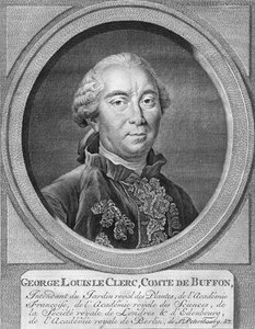 George Louis Leclerc, De Buffon gróf, 1774. alkotó: Jacobus Houbraken