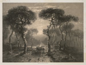 A. Calame művei, 13. sz.: Sierre erdő Valais-ban alkotó: Jacomme and Cie. R. de Lancry, 12, Paris