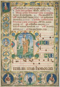 Levél egy fokozatról: Initial (M) Szent Andrással (recto) alkotó: Jacopo Filippo d