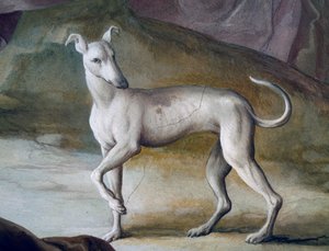 Kutya, részlet Jacopo Guarana (1720-1808) freskójából, a Villa Contarini központi csarnoka, Valnogaredo, Veneto, Olaszország