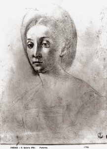 Egy nő feje (kréta papíron) alkotó: Jacopo Pontormo