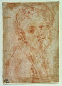 Önarckép (vörös kréta, papír) alkotó: Jacopo Pontormo