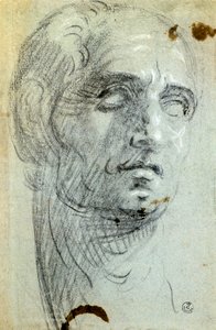 Tintoretto (1518-1594) néven ismert Jacopo Robusti férfi feje, rajz alkotó: Jacopo Robusti Tintoretto