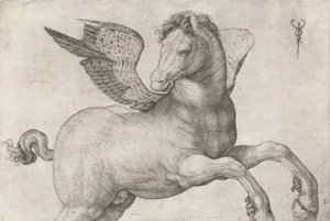 Pegazus, 1509-16