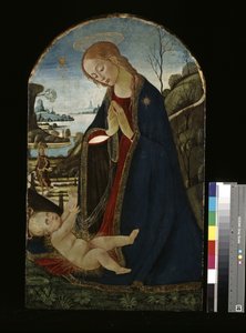 Madonna imádja a Krisztus-gyermeket (olaj, fa) alkotó: Jacopo del Sellaio