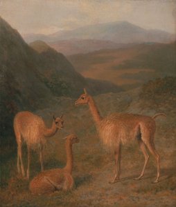 Vicunas alkotó: Jacques-Laurent Agasse