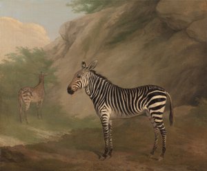 Zebra alkotó: Jacques-Laurent Agasse
