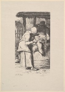 Birkanyírás, 1853.