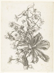 Csokor tulipánnal, jácinttal, brodiaeával és nárciszokkal Diverse Fleurs mises en Boucquets (sorozat címe) alkotó: Jacques Bailly (I)