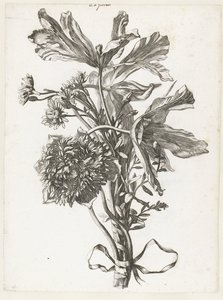 Csokor kifakult tulipánokkal, kökörcsinnel és halhatatlanokkal Diverse Fleurs mises en Boucquets (sorozat címe) alkotó: Jacques Bailly (I)