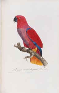 Premiere variete du Grand Lori, vésette Langlois, 1801-2005 körül